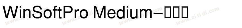 WinSoftPro Medium字体转换 WinSoftPro Medium字体转换